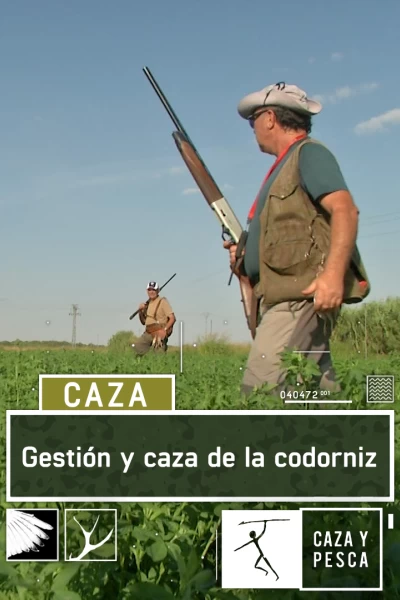 Gestión y caza de la Codorniz