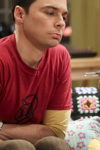 The Big Bang Theory. T(T12). The Big Bang Theory (T12): Ep.2 La transferencia del regalo de boda