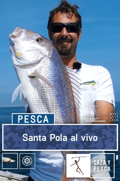 Santa Pola al vivo