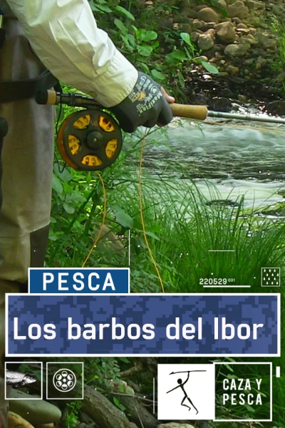Los barbos del Ibor