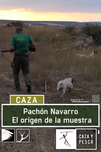 Pachón Navarro: El origen de la muestra