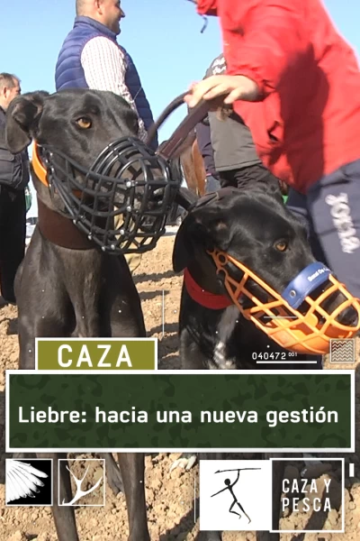 Liebre: Hacia una nueva gestión