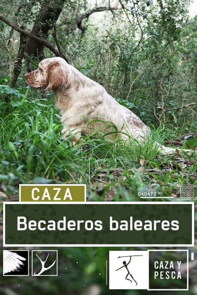 Becaderos Baleares