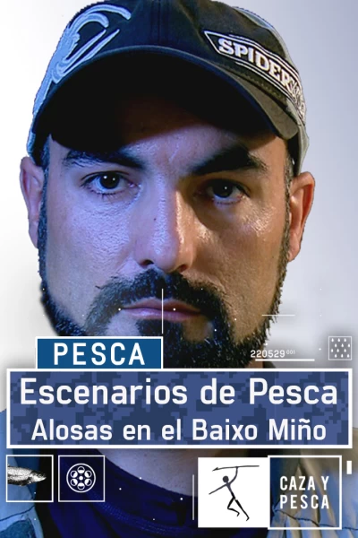 Escenarios de pesca: Alosas en el  Baixo Miño