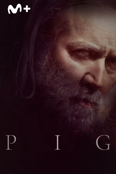 Pig