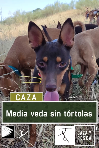 Media veda sin Tórtolas