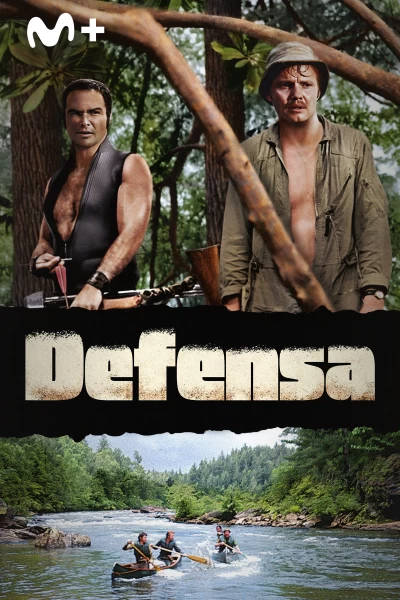 Defensa