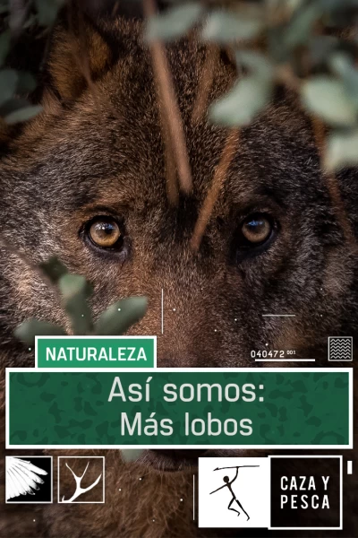 Así somos. T(T1). Así somos (T1): Más lobos