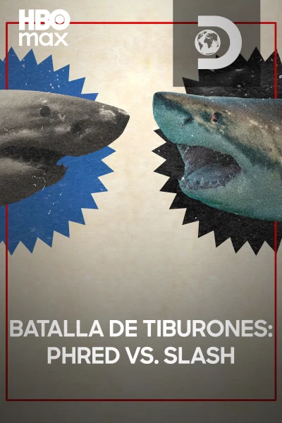Batalla de tiburones: Phred vs. Slash