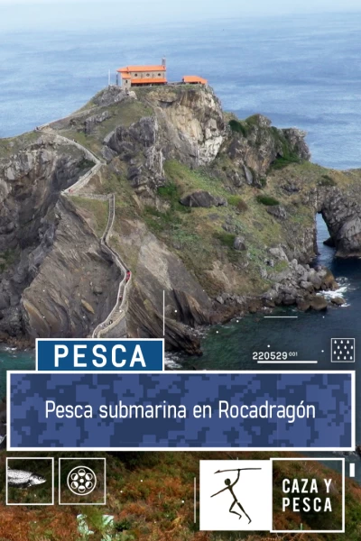 Pesca submarina en Rocadragón