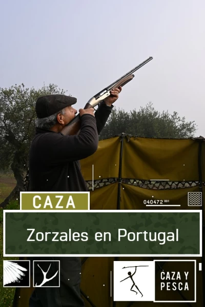 Zorzales en Portugal