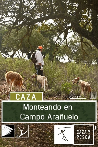 Monteando en campo Arañuelo