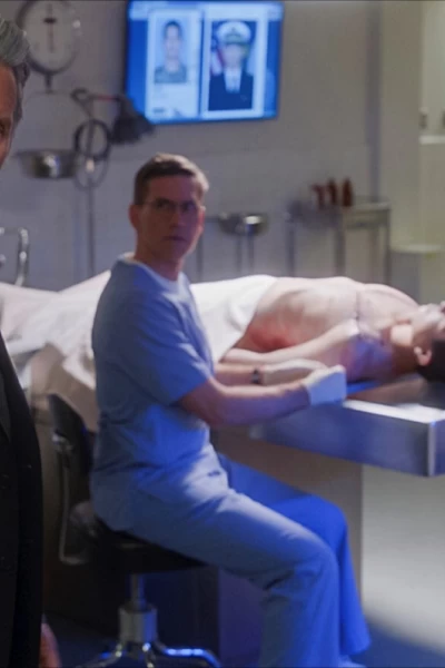 Navy: Investigación criminal. T(T20). NCIS: Naval... (T20): Ep.14 Viejas Heridas