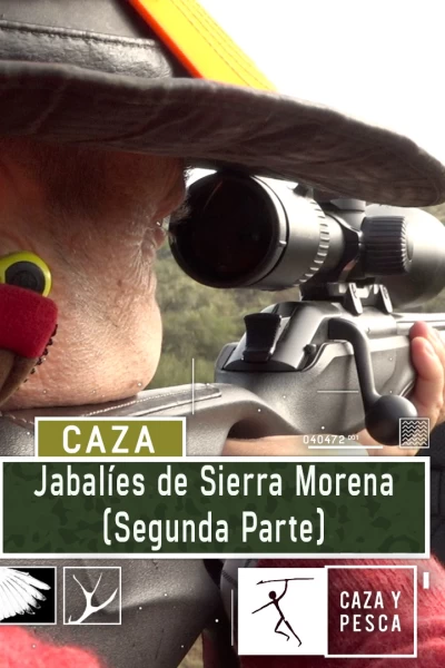Jabalíes de Sierra Morena, 2ª parte