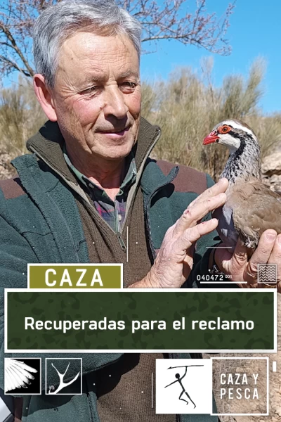 Recuperadas para el reclamo