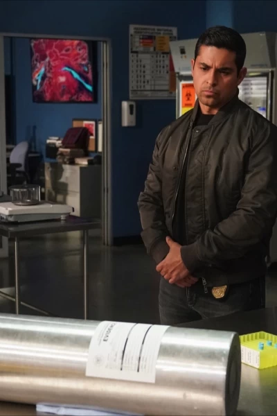 Navy: Investigación criminal. T(T20). NCIS: Naval... (T20): Ep.16 El efecto mariposa