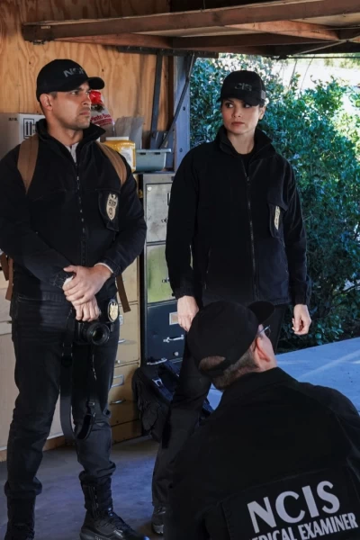 Navy: Investigación criminal. T(T20). NCIS: Naval... (T20): Ep.17 Navy: Investigación Criminal (20): Ep 2017