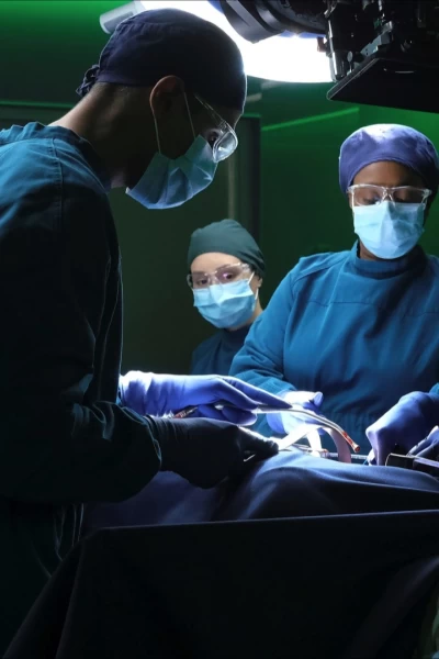 The Good Doctor. T(T6). The Good Doctor (T6): Ep.18 Un lapsus