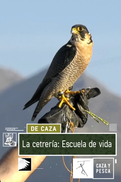 La cetrería: escuela de vida