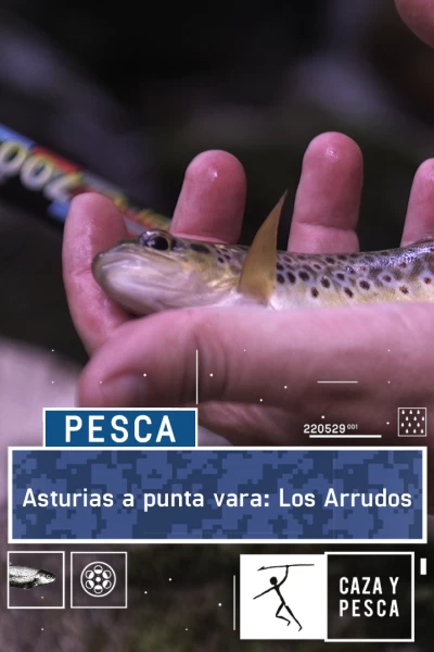 Asturias a punta vara: Los Arrudos
