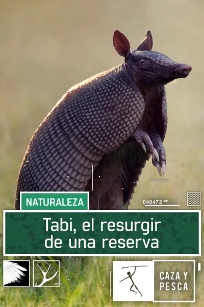 Tabi, el resurgir de una reserva