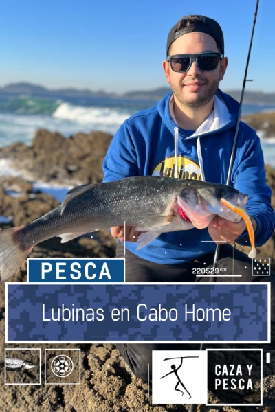Lubinas en Cabo Home