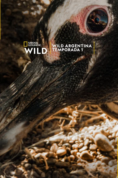 Wild Argentina