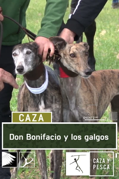 Don Bonifacio y los galgos
