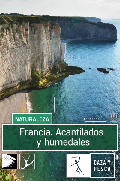 Francia. Acantilados y humedales