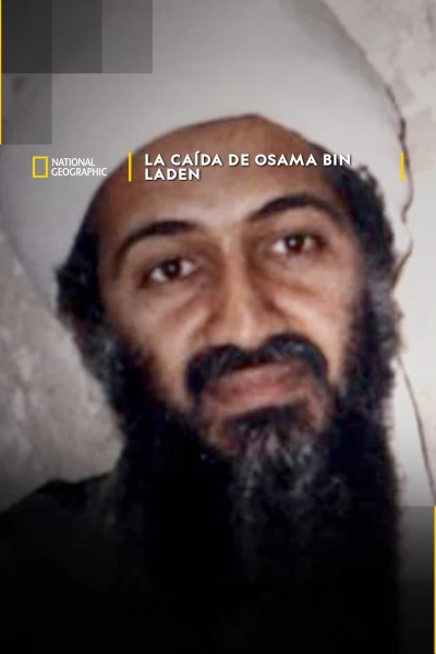 La caída de Osama Bin Laden