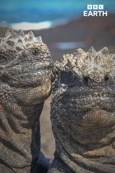 Espiando en el océano. Espiando en el océano: Relaciones
