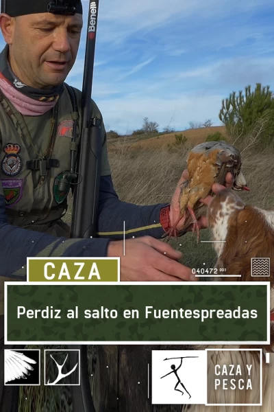 Perdiz al salto en Fuentespreadas