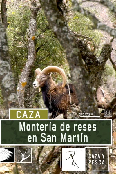 Montería de reses en San Martín