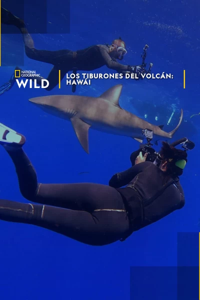 Los tiburones del volcán: Hawái