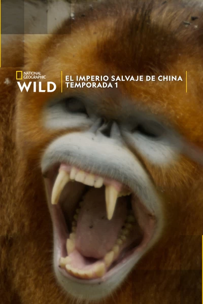 El imperio salvaje de China