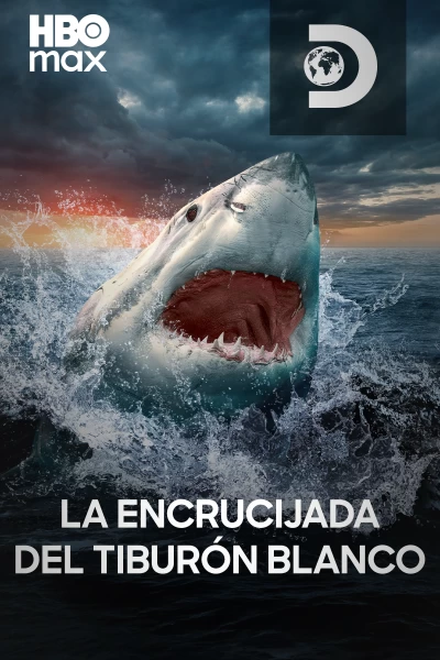 Tiburón blanco: zona de combate