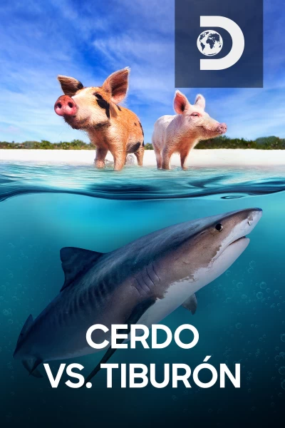 Cerdo vs. tiburón