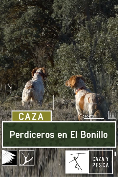Perdiceros en El Bonillo