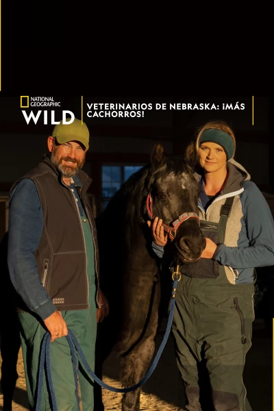 Veterinarios de Nebraska: ¡Más cachorros!