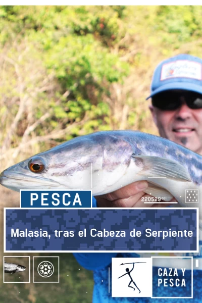 Malasia, tras el Cabeza de Serpiente