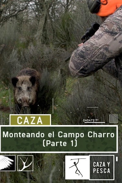 Monteando en el campo charro. 1ª parte