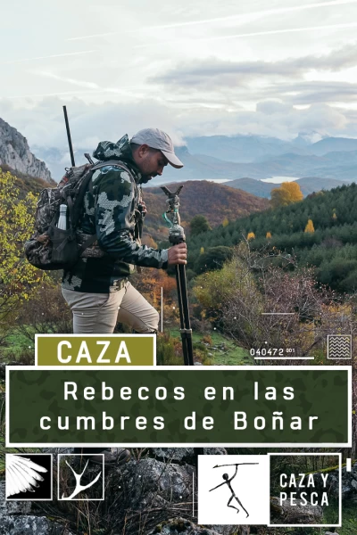 Rebecos en las cumbres de Boñar