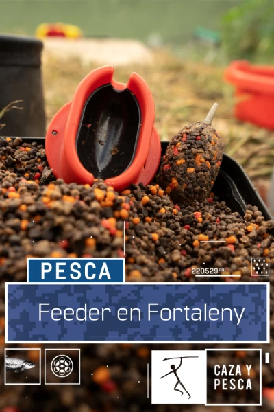 Feeder Free en Fortaleny