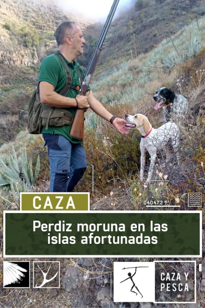 Perdiz moruna en las islas afortunadas