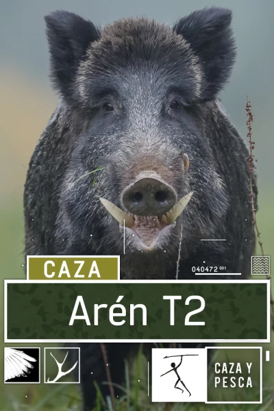 Arén
