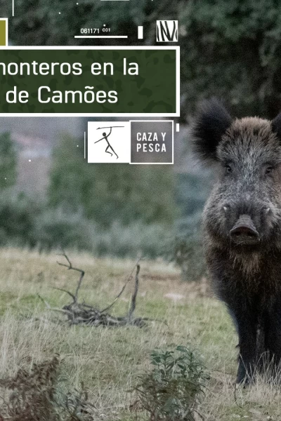 Lances monteros en la Tierra de Camöes