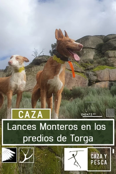 Lances monteros en los predios de Torga