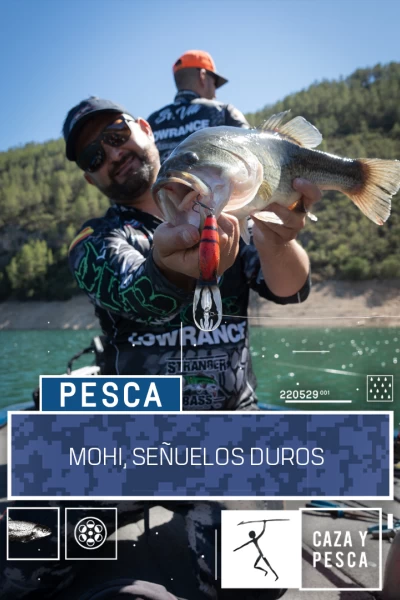 Mohi, señuelos duros