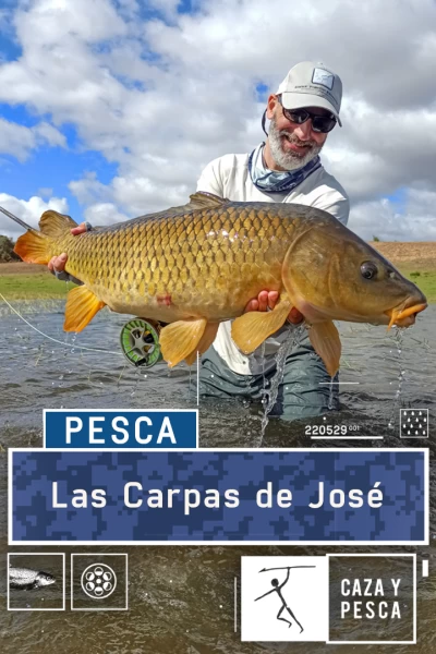 Las carpas de José