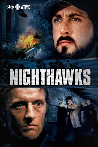 Halcones de la noche